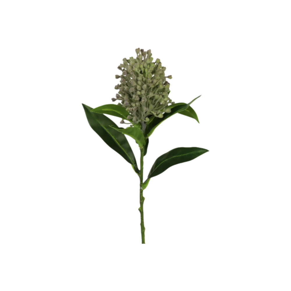 Tige Photinia verte 12" Maison Olive