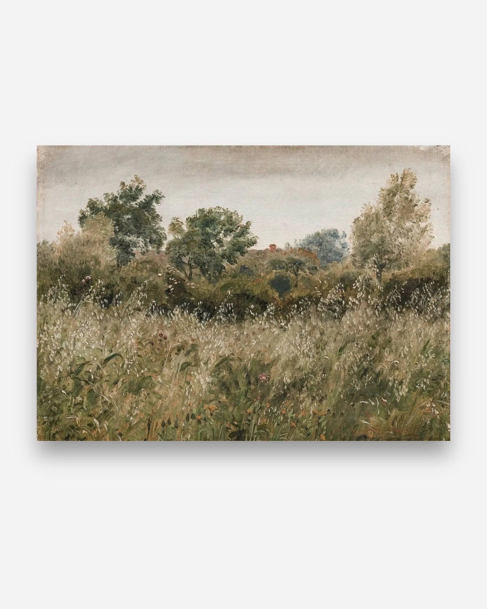 Impression d'art sur papier FineArt | Maison Olive