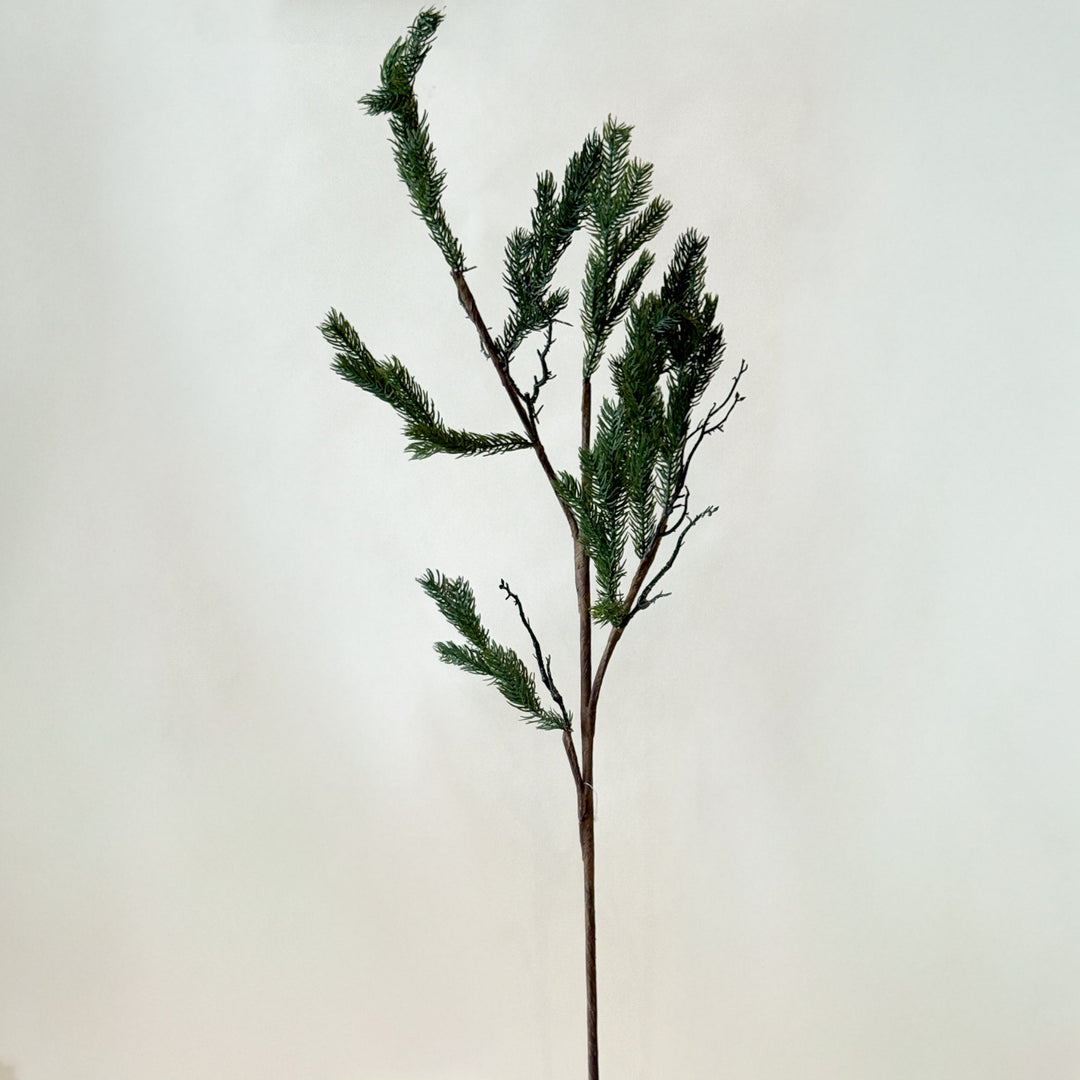 Tige d’épinette Fresh Touch de 40"  Maison Olive