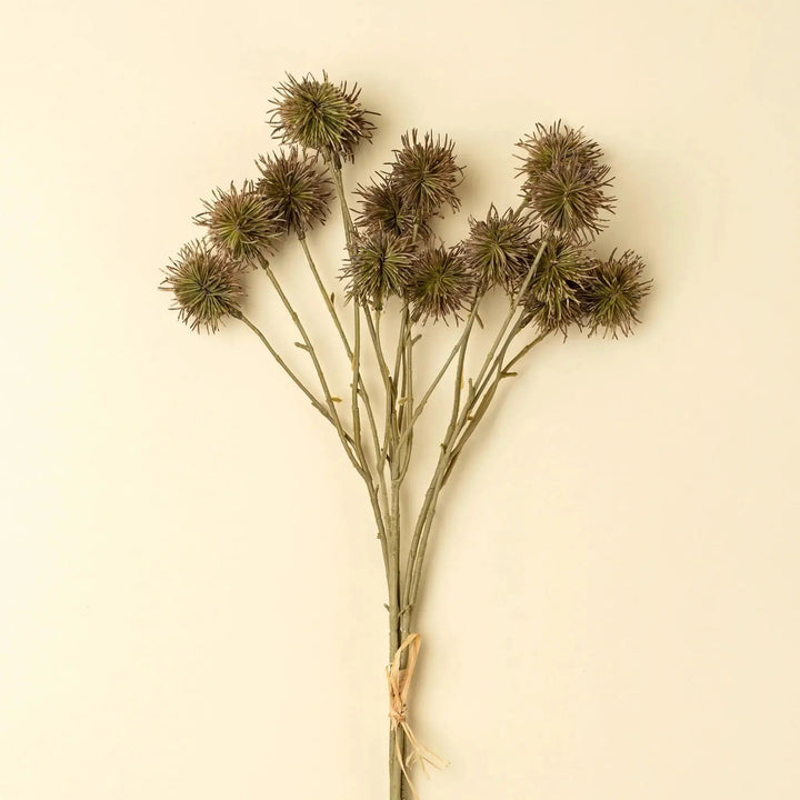 Bouquet de châtaignes décoratives  Maison Olive
