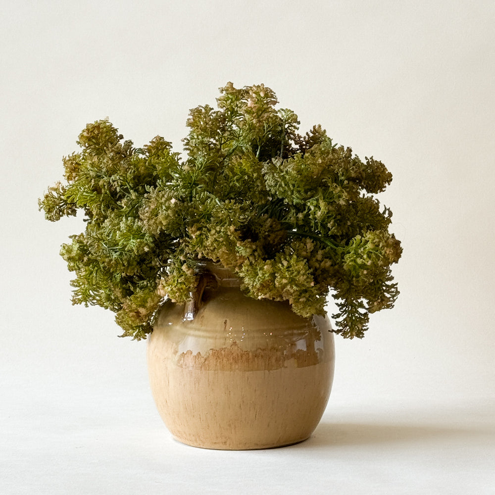 CHEVALIER Vase Chevalier avec poignées - Maison Olive