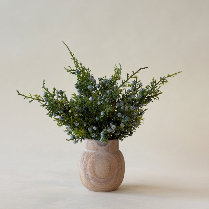 Branche de Genévrier de 12"  Maison Olive