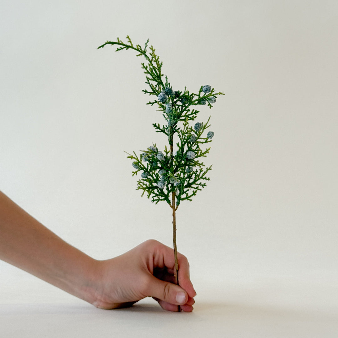 Branche de Genévrier de 12"  Maison Olive