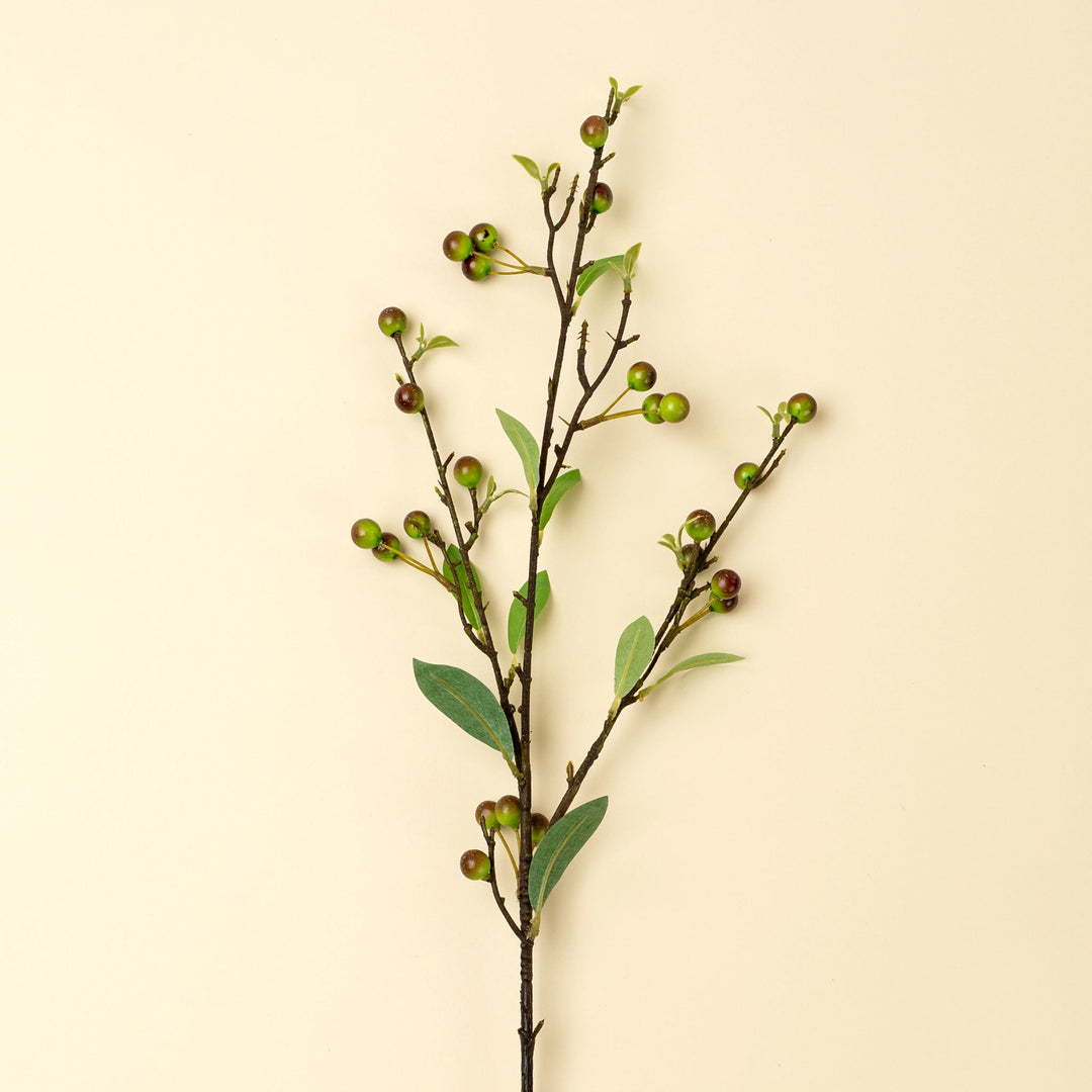 Branche de baies d’hypericum  Maison Olive