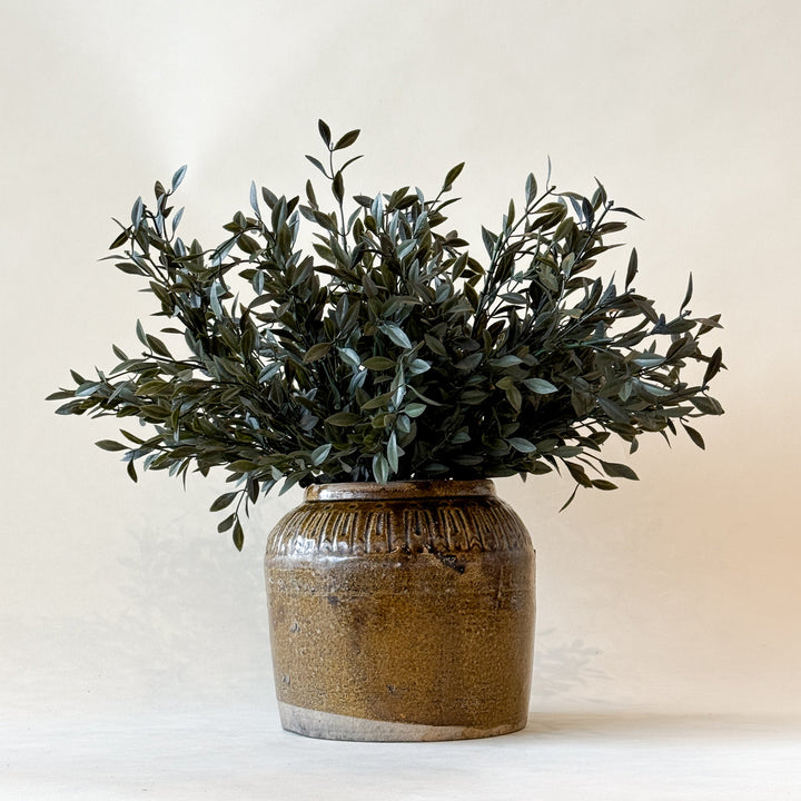 Branche de saule verte  Maison Olive