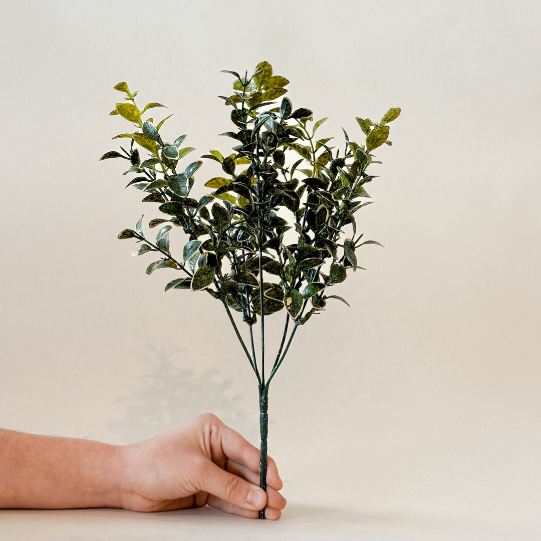 Branche EUONYMUS 14"  Maison Olive