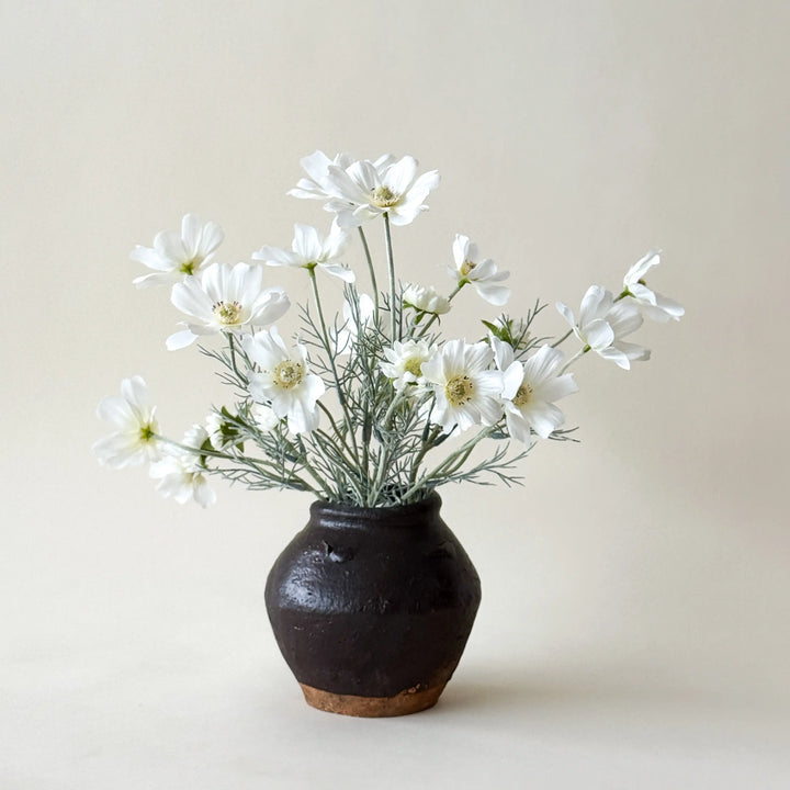 Branche de cosmos blanc