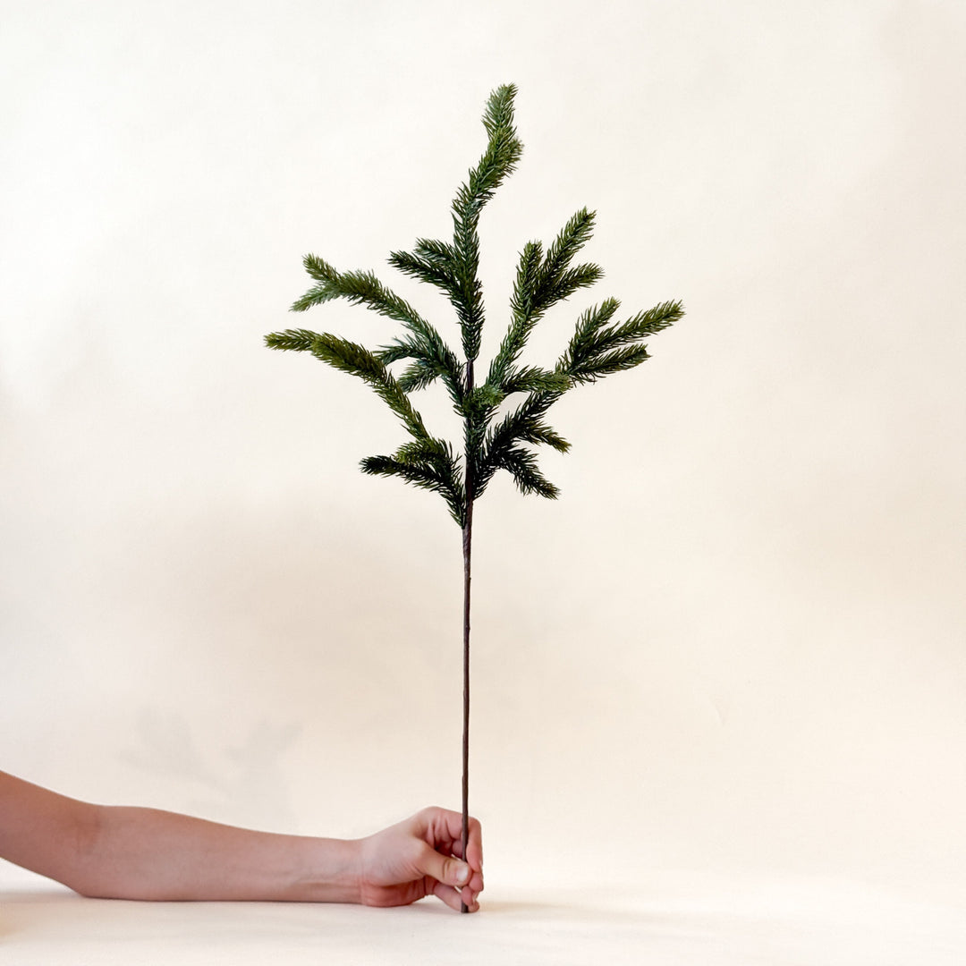 Branche d’épinette Fresh Touch de 24"  Maison Olive