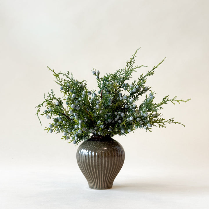 Branche de Genévrier de 12"  Maison Olive