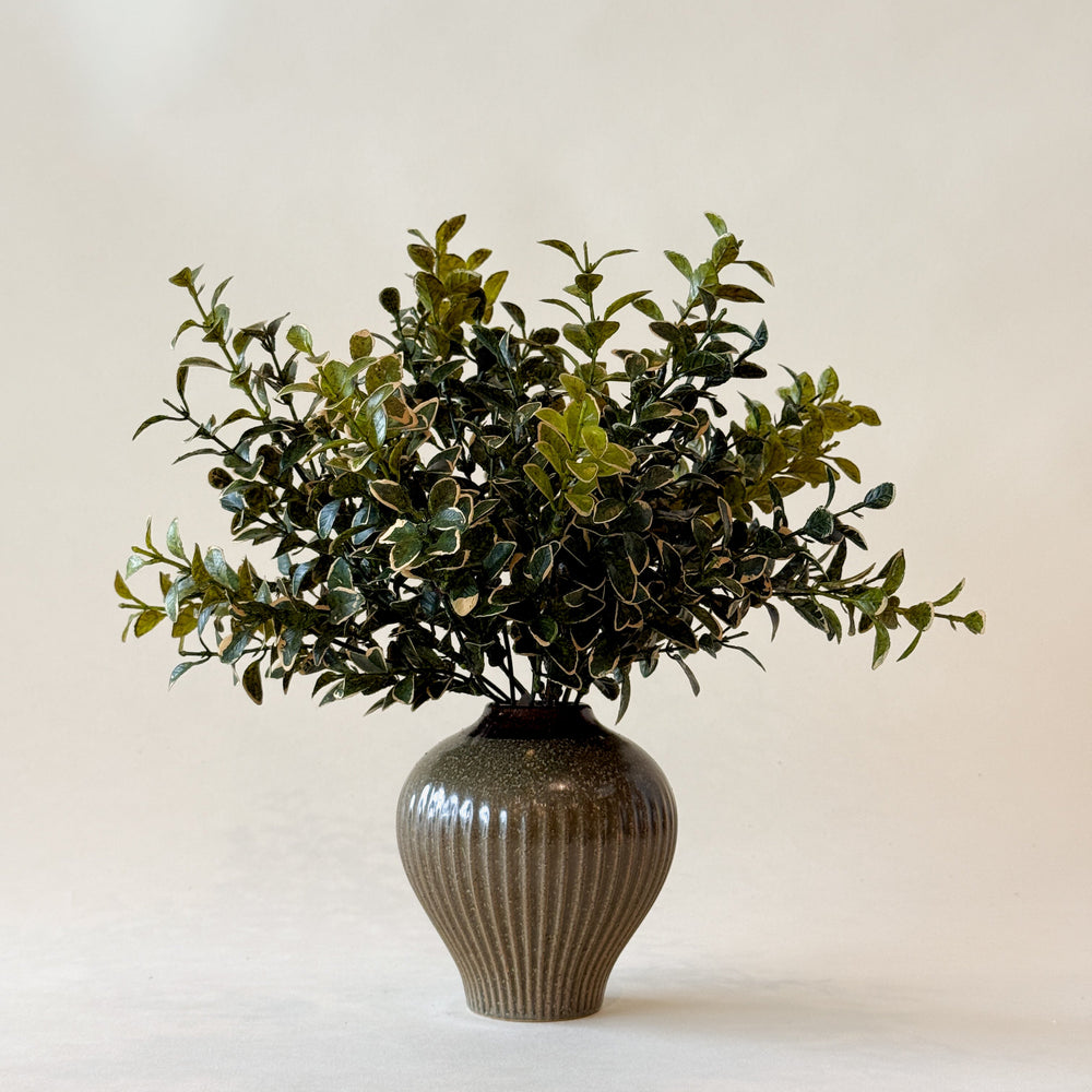 Branche EUONYMUS 14"  Maison Olive