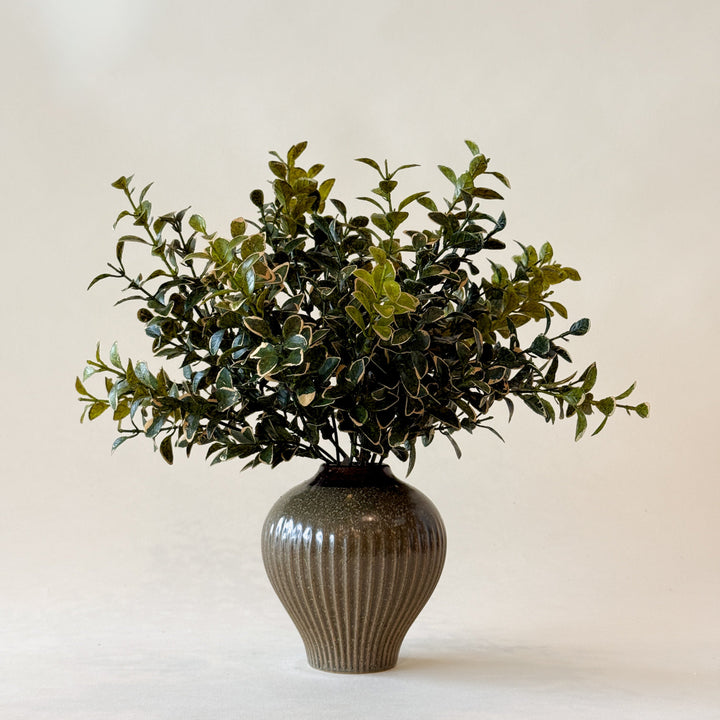 Branche EUONYMUS 14"  Maison Olive