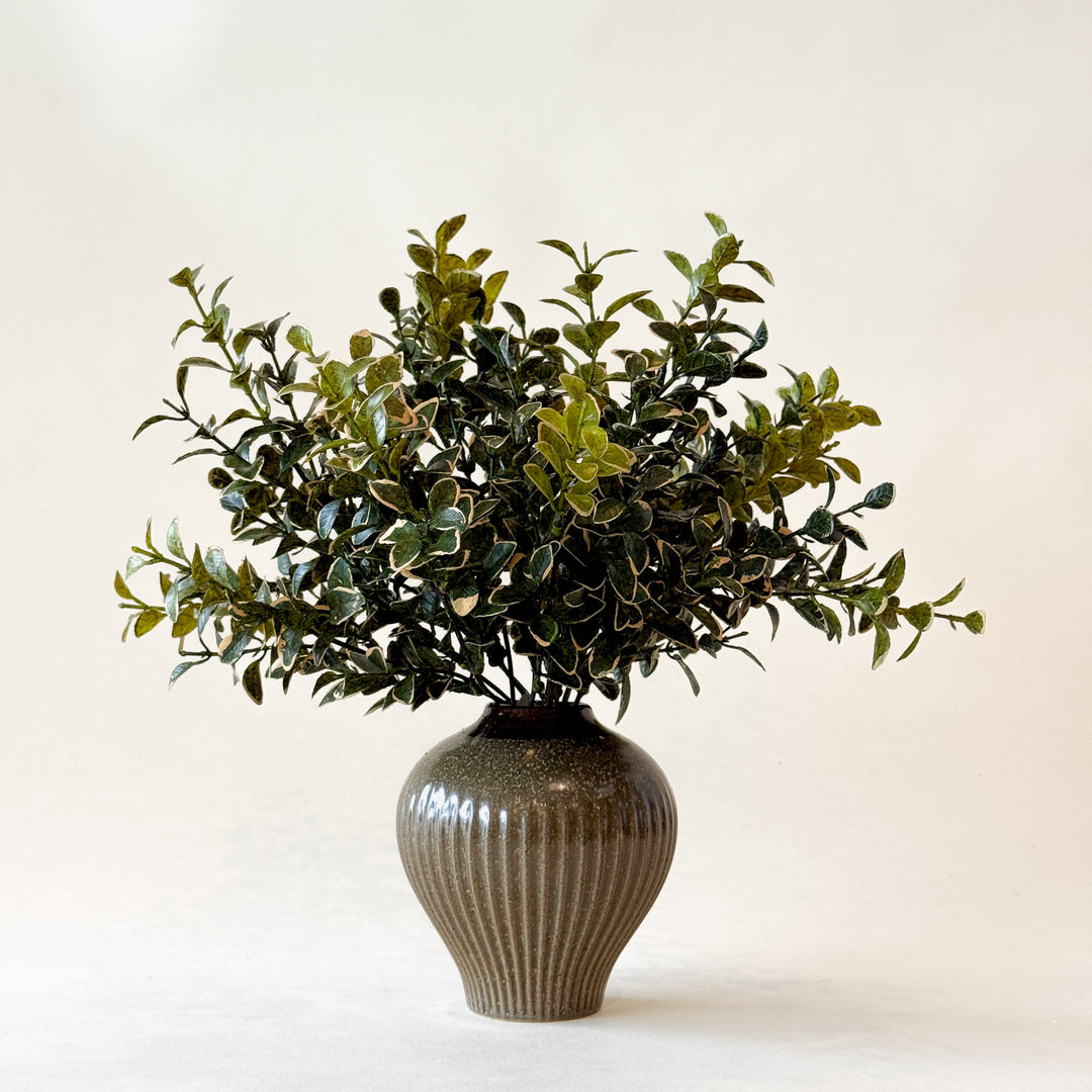 Branche EUONYMUS 14"  Maison Olive