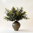 Branche EUONYMUS 14"