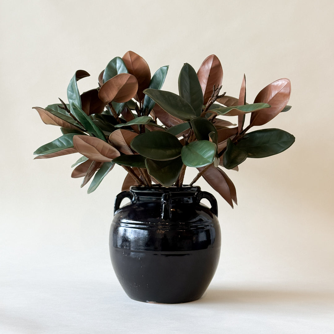 Fausses feuilles de magnolia - Maison Olive