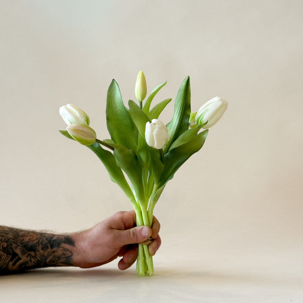 Bouquet de Tulipes Formosa blanches 12"  Maison Olive