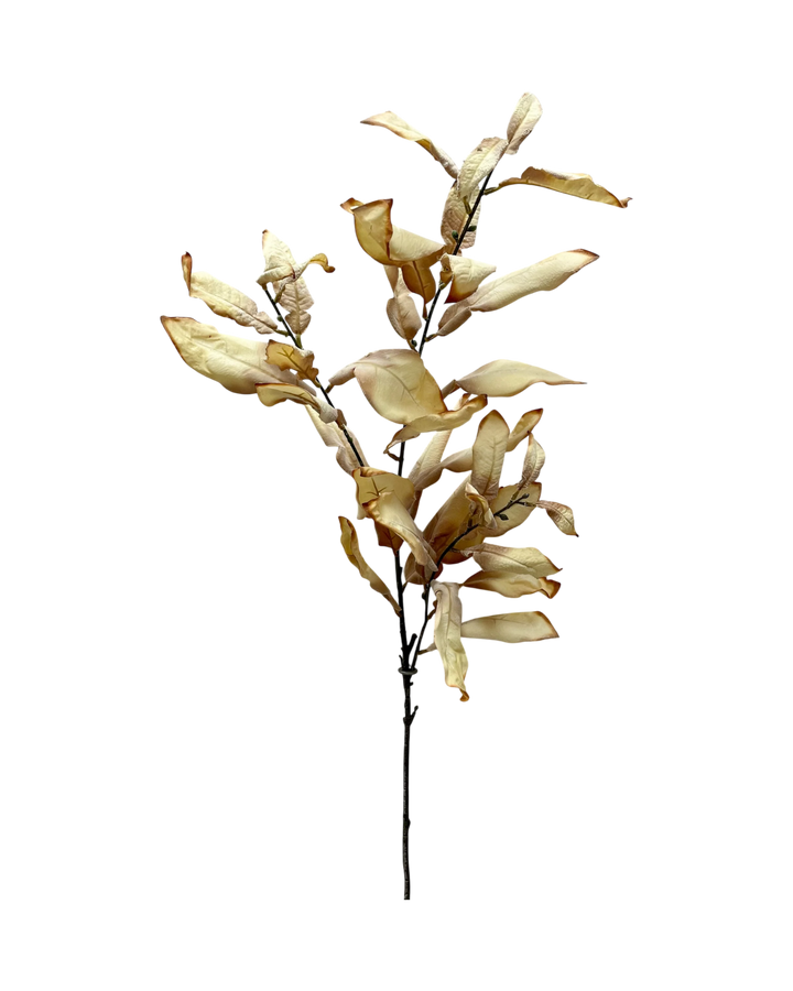 Branches-Feuillages-Crème-Automne-Doux
