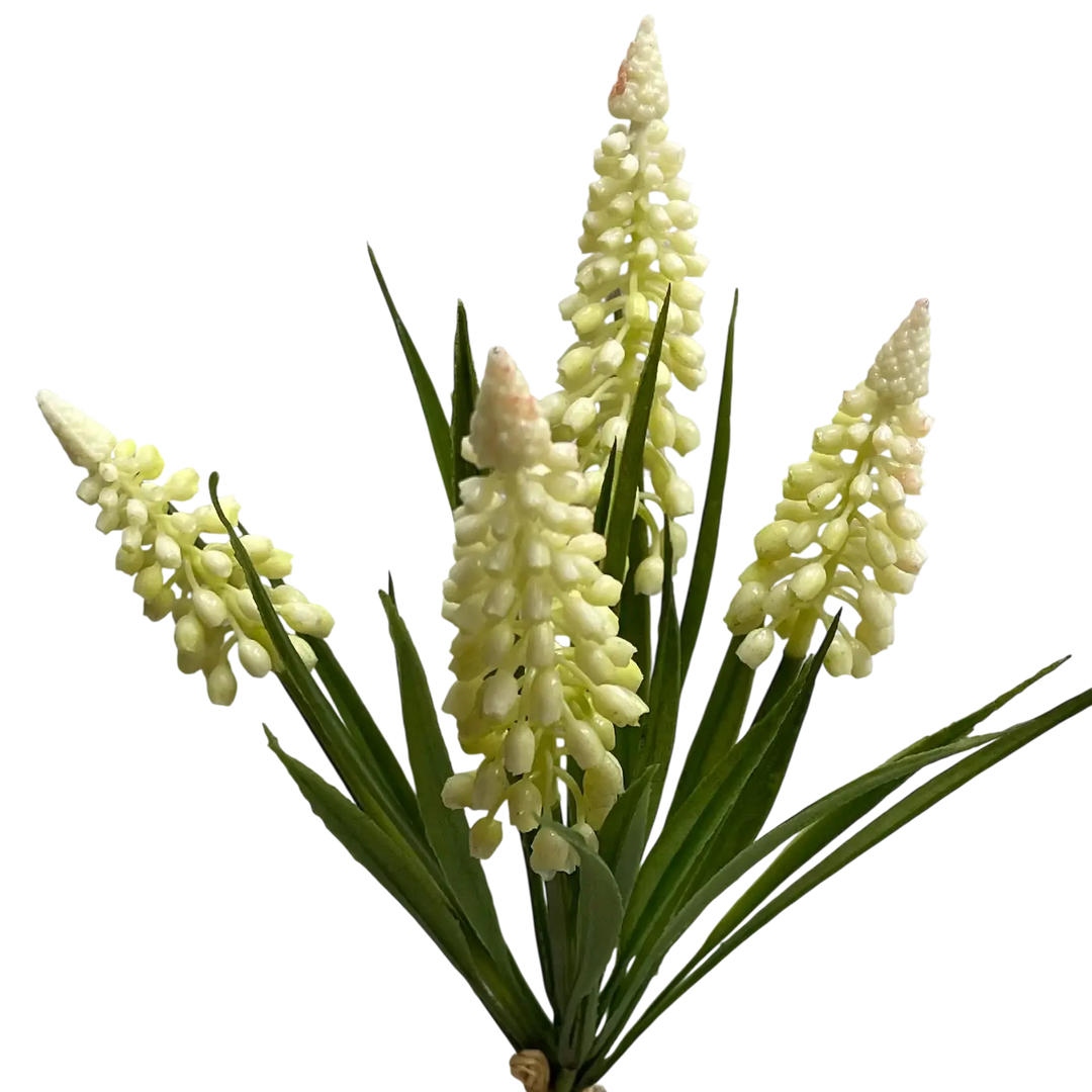 Bouquet de Muscari blanc 10.5''