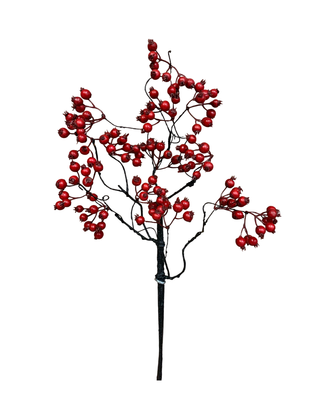 Baie-Rouge-Branche-Noel-Decoration