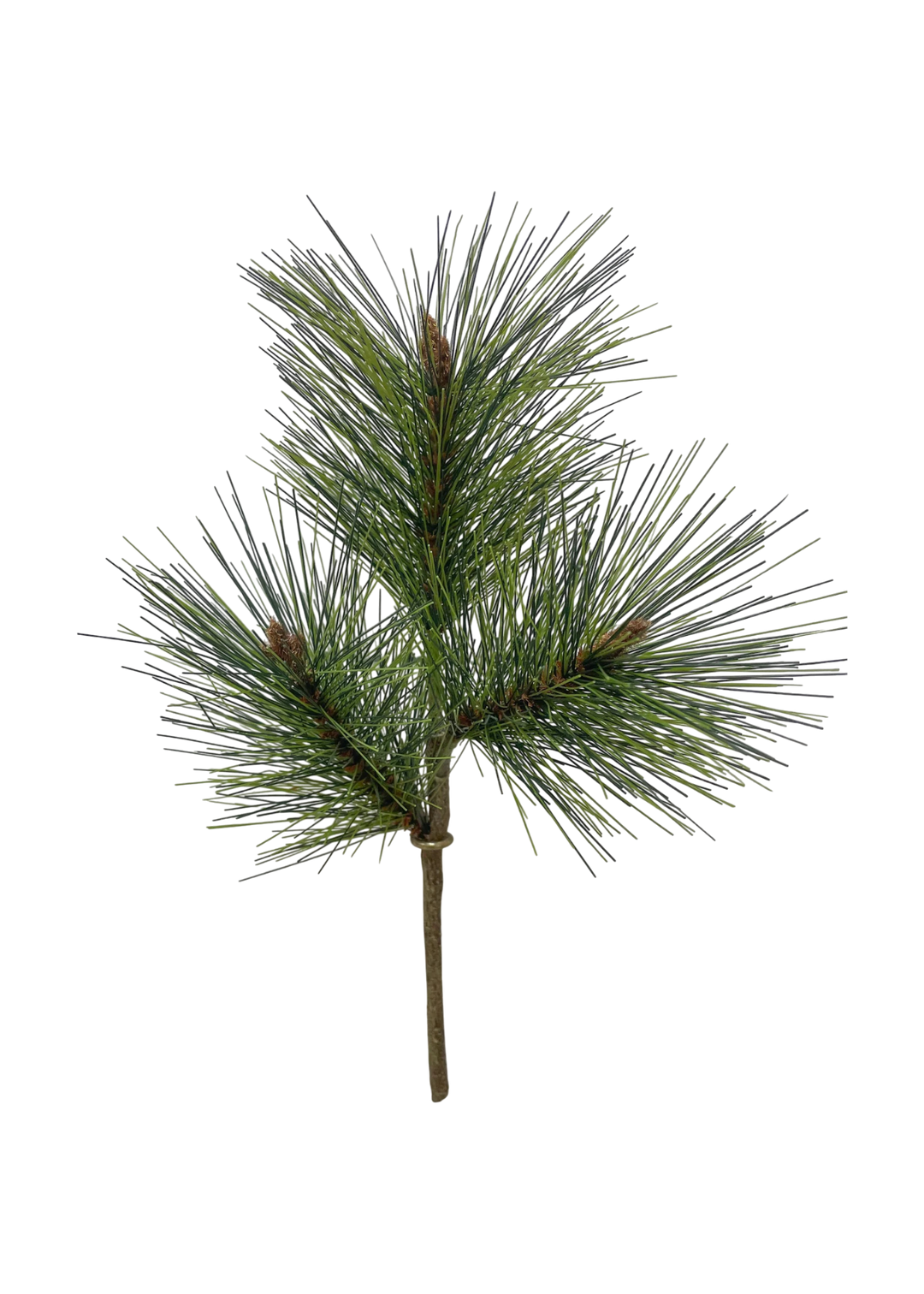 Branche Pin Mugo Vert Decoration 