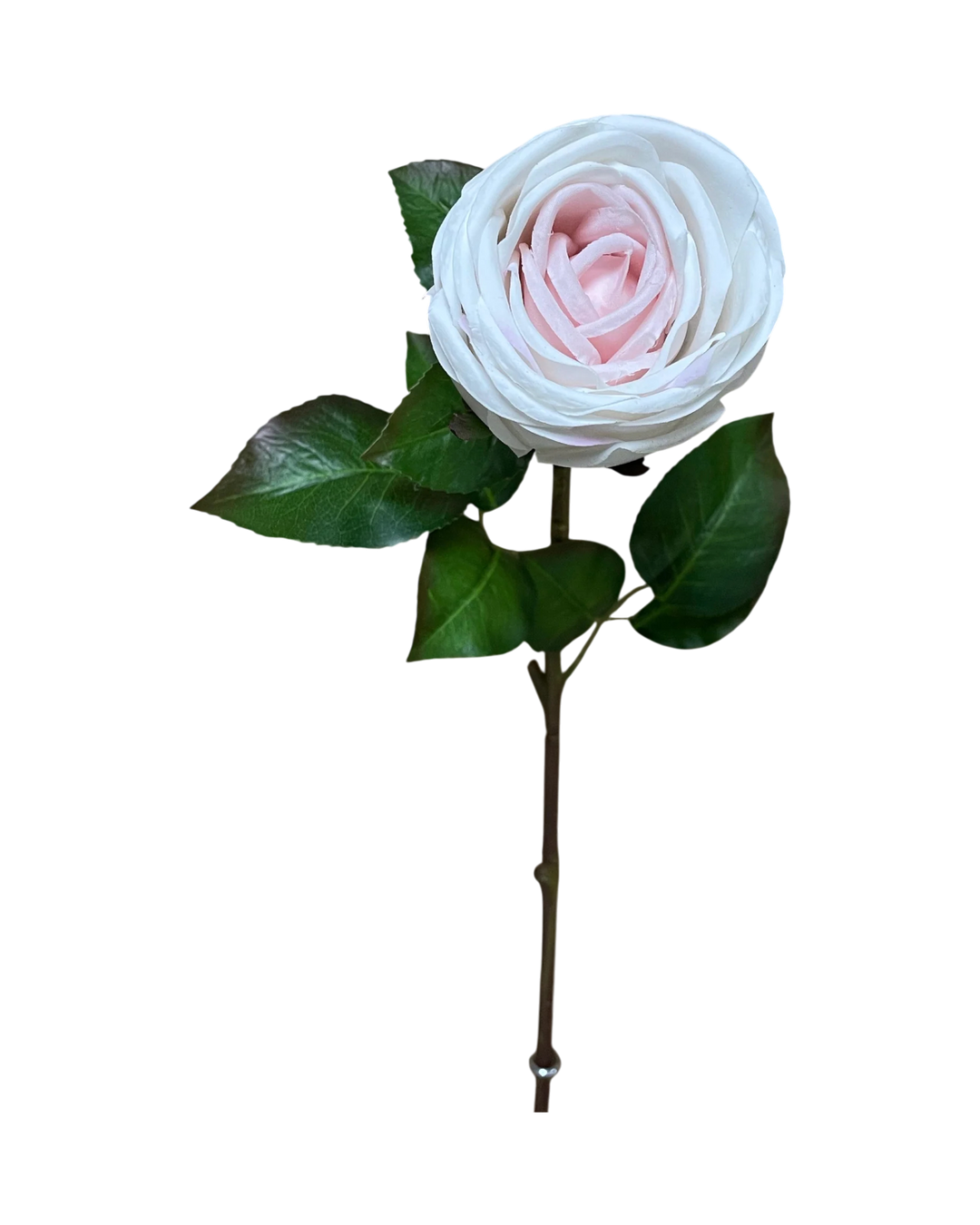 Branche-Rose-Blush-Decoration