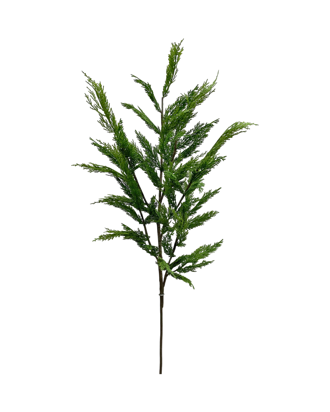 Branche-Cedre-Decoration-Noel