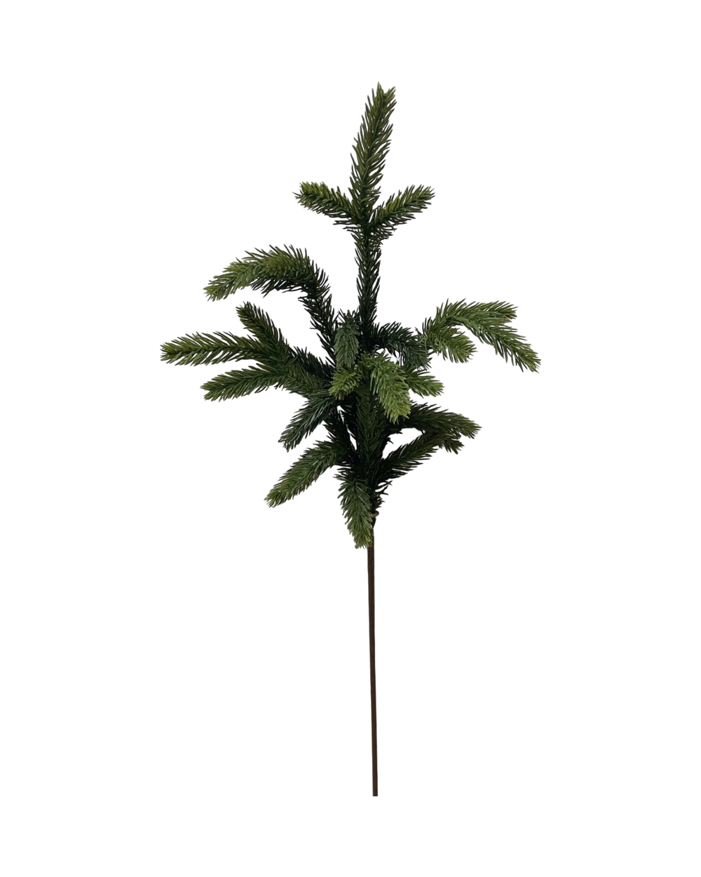 Branche-Epinette-Noel-Vert