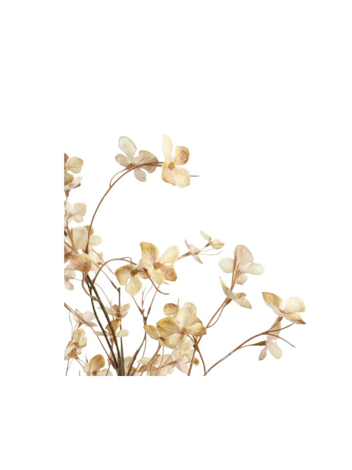 Floral Branch 49½"