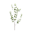 36" Green Eucalyptus Branch