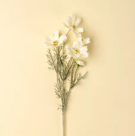 Branche de cosmos blanc Maison Olive