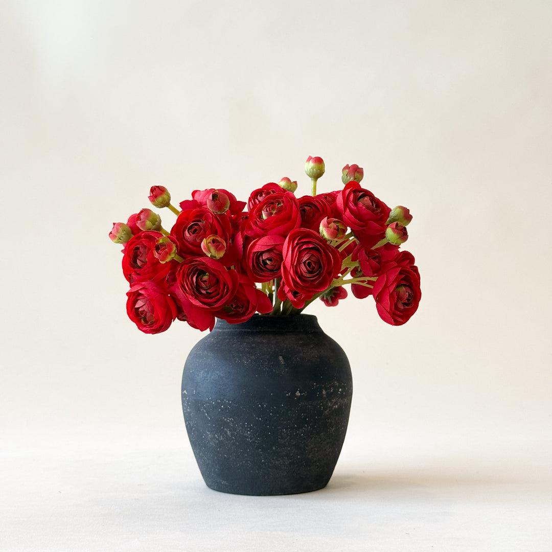 Renoncule rouge  Maison Olive