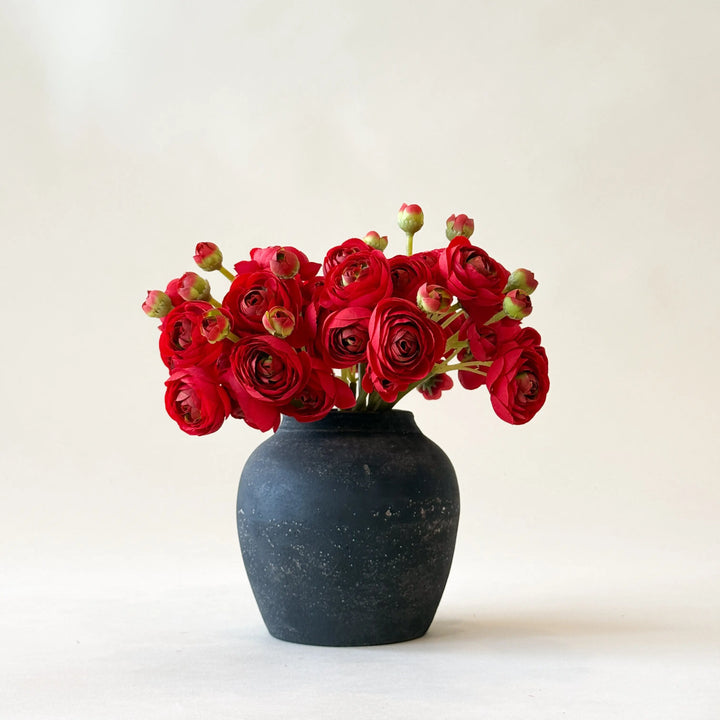 Renoncule rouge  Maison Olive