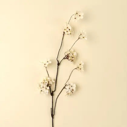 Branche de fleurs de poirier  Maison Olive