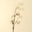 Pear Blossom Branch