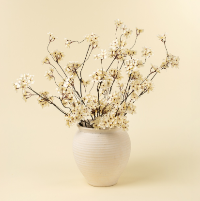 Branche de fleurs de poirier  Maison Olive