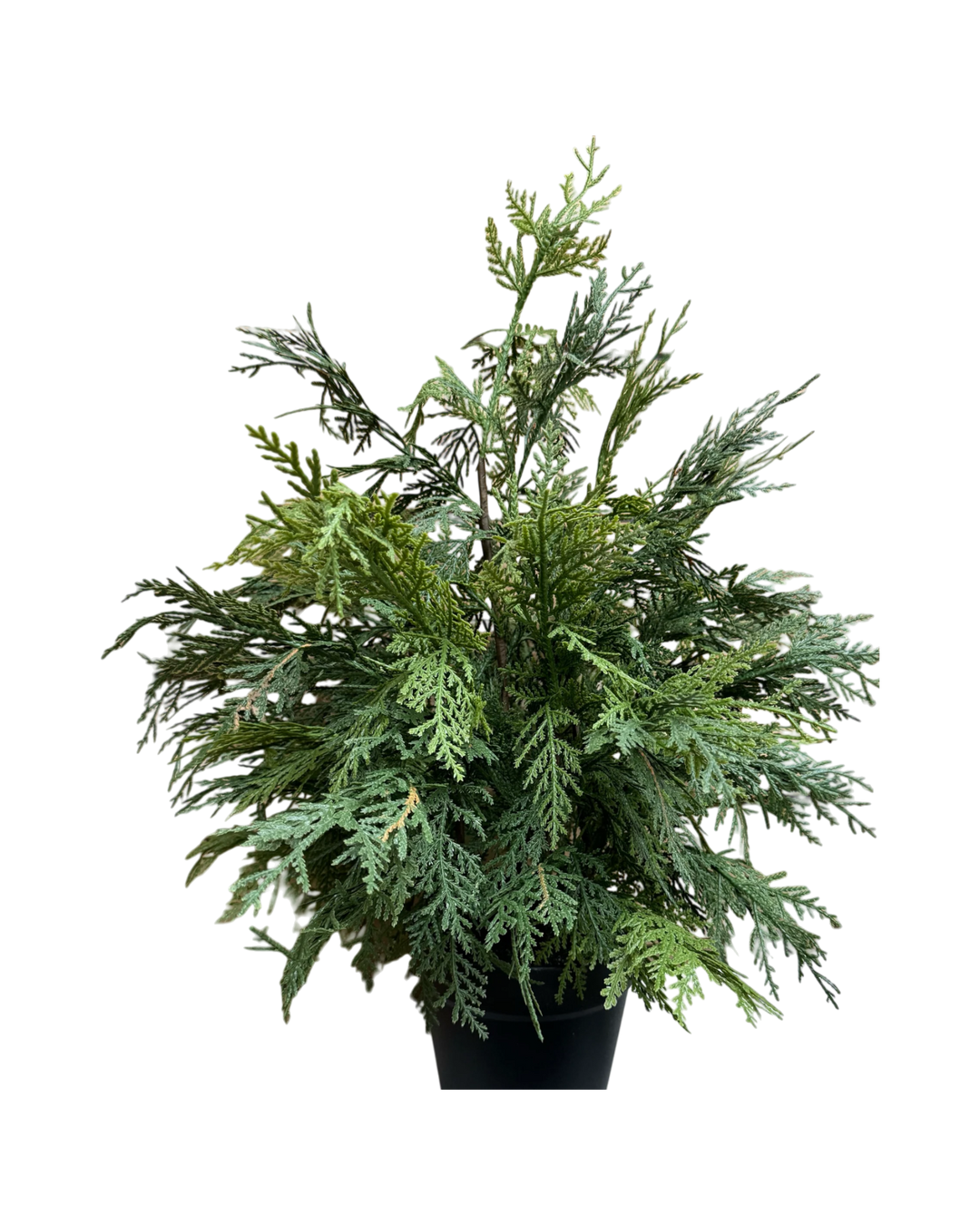 Pot-Branche-Cèdre-Noel-Vert-Fausse