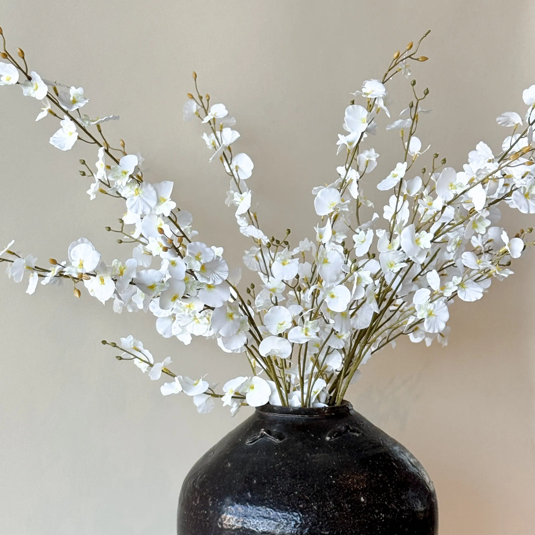 Branche d’orchidée blanche