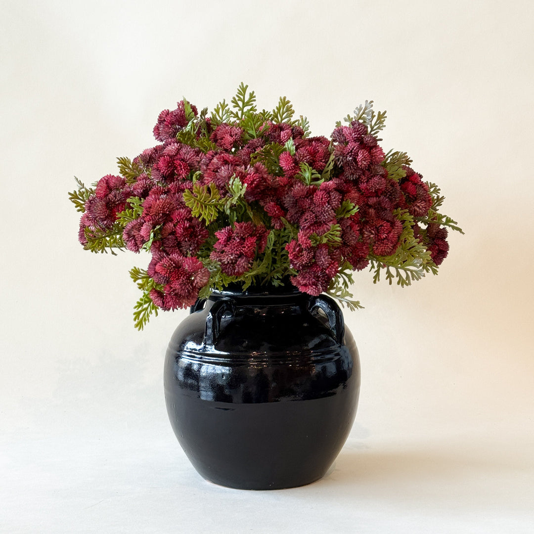 Sedum Bourgogne 16''  Maison Olive