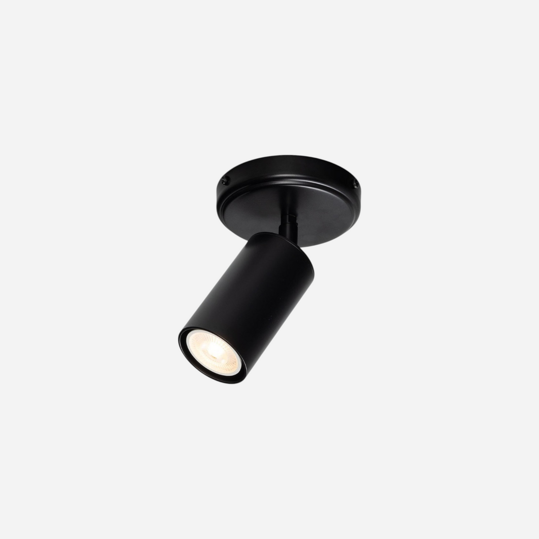Luminaire Directionnel Plafonnier Dirigeable Cylindre  