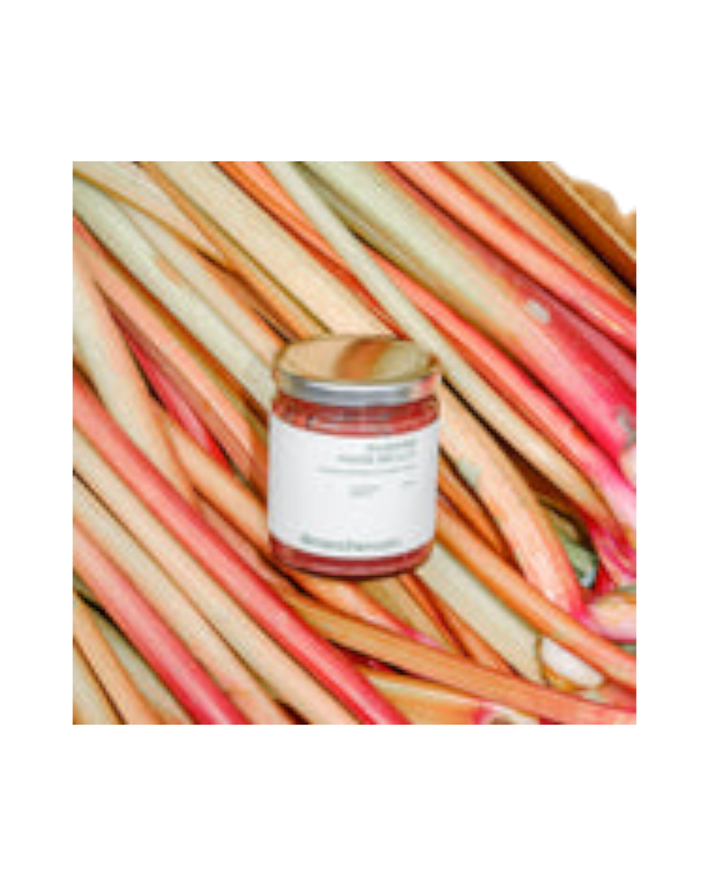 tartinade fraise rhubarbe-fait au Québec