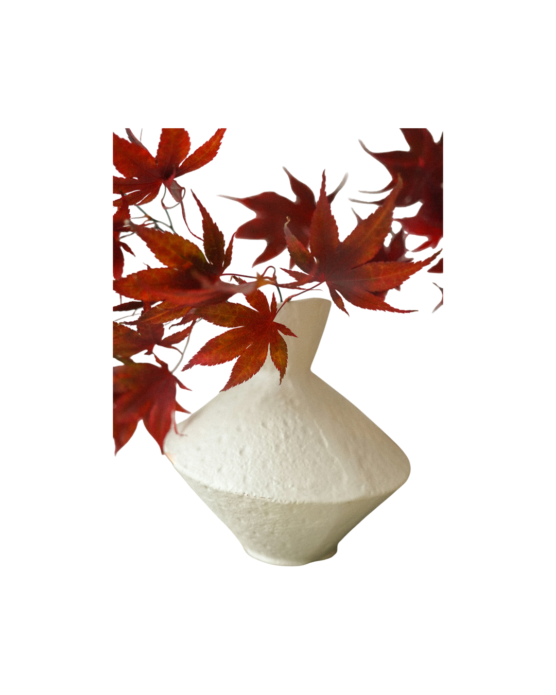 Vase-Ivory-Texturé-Vintage-Bicolore