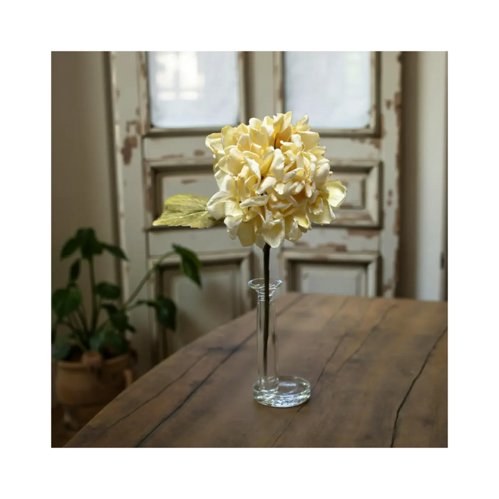 Fleurs-Automne-Hortensia-Verdures-Doux