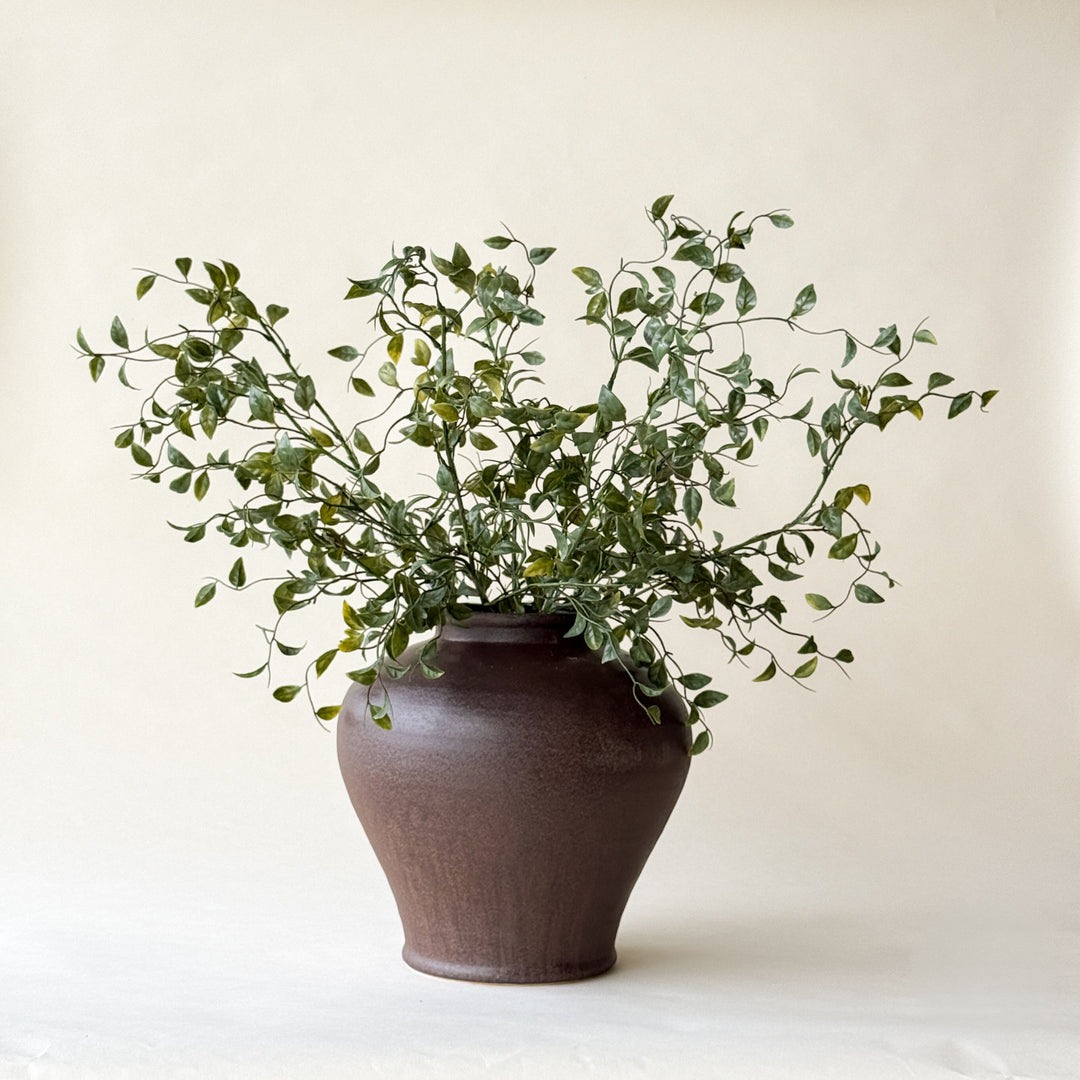 SMILAX SPRAY 31''  Maison Olive
