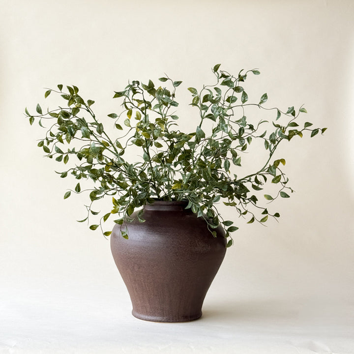 SMILAX SPRAY 31''  Maison Olive