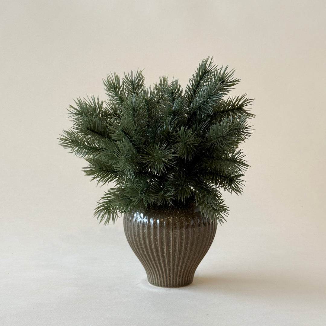 Branche de pin 10"  Maison Olive