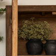 Jarres noires avec feuillage artificiel dans un meuble en bois