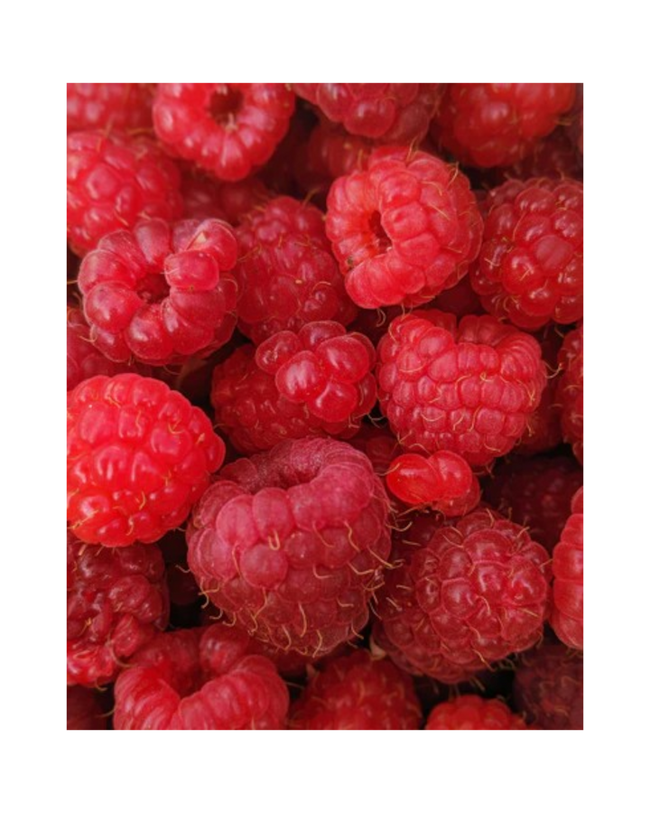 confiture framboise noix de coco fait au Québec