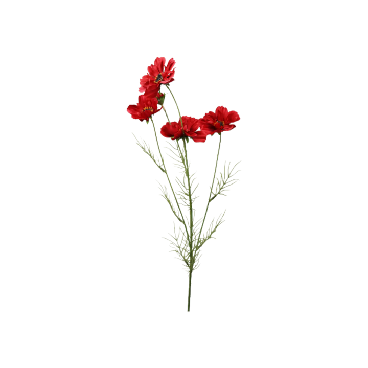 Tige De Cosmos Rouge 32'' Maison Olive