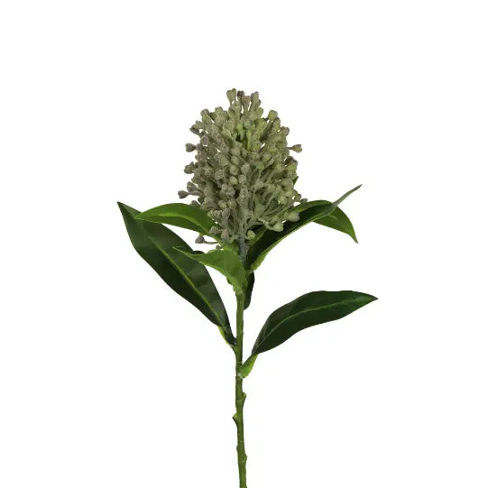 Tige Photinia verte 12" Maison Olive