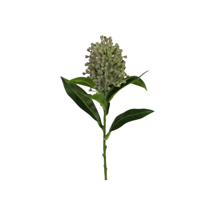 Tige Photinia verte 12" Maison Olive