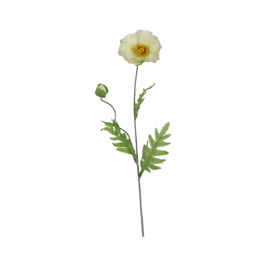 Tige de Pavot 27½" Maison Olive